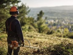 Pourquoi confier votre débroussaillage à Roanne à un expert